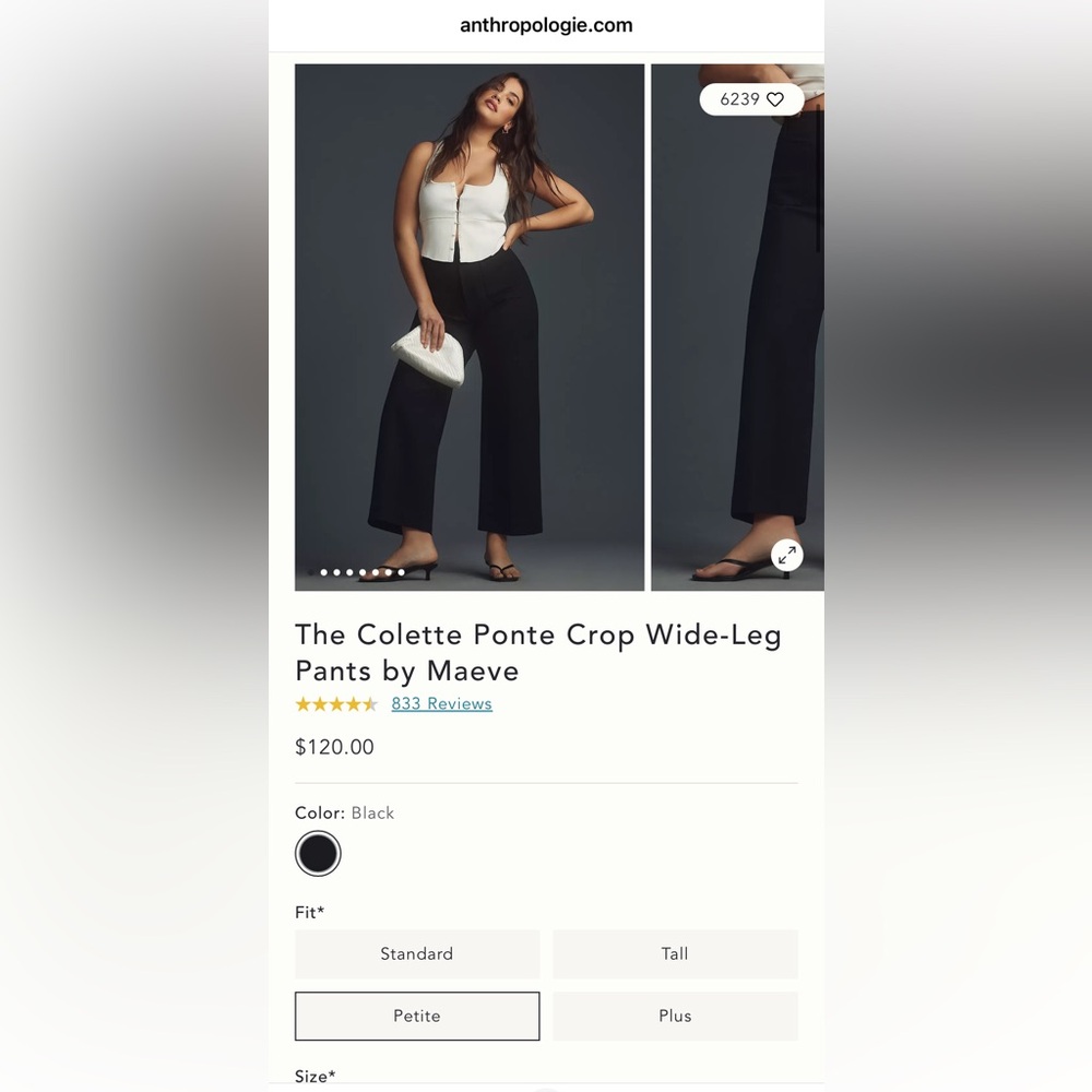 Anthropologie Black Wide-Leg Crop Pants